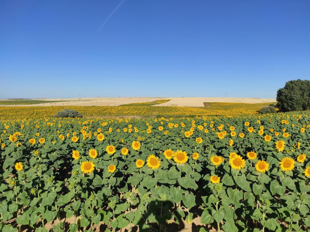 Vinarius, Posada Rural Castellanos de Villiquera Dış mekan fotoğraf
