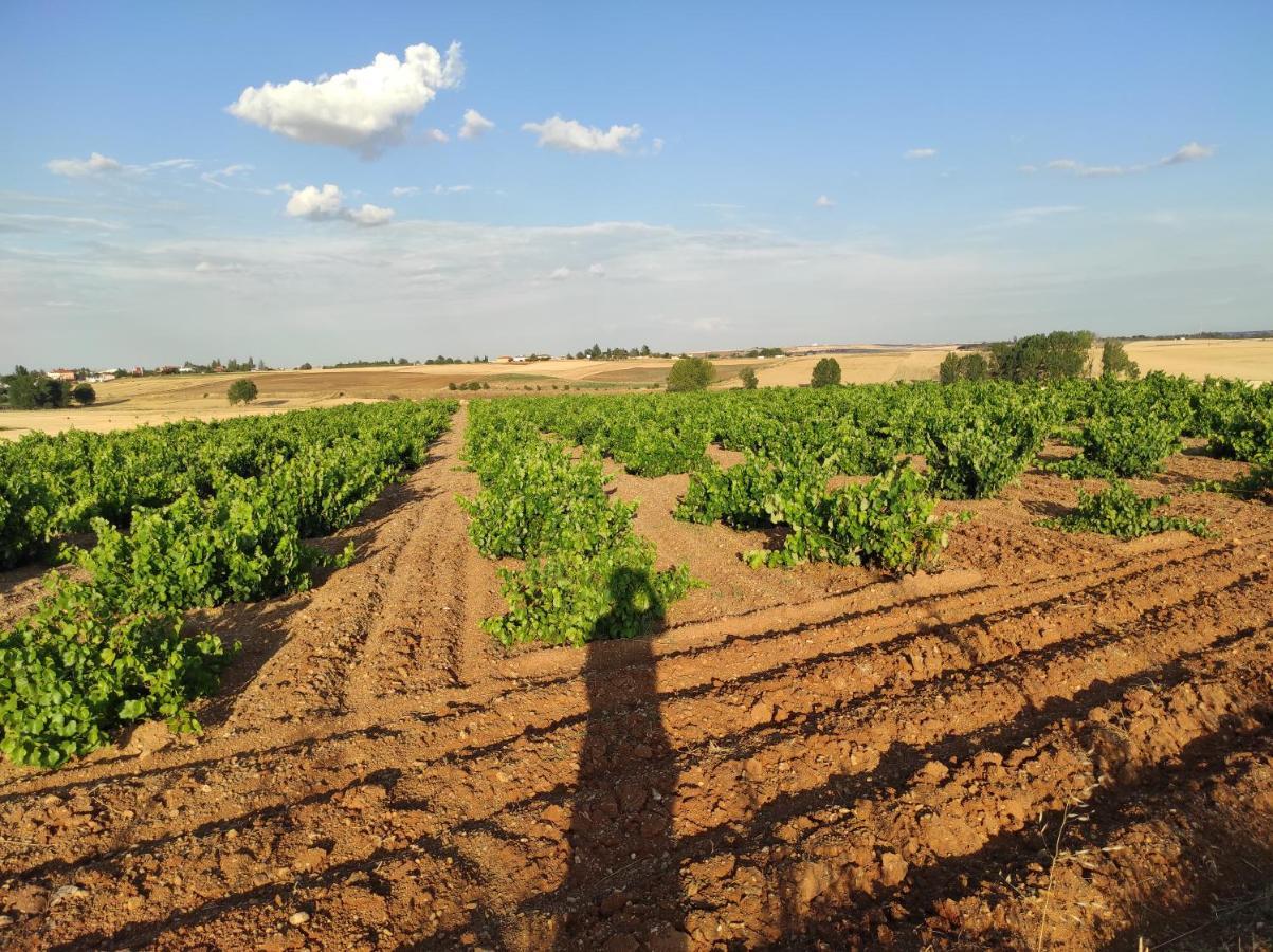 Vinarius, Posada Rural Castellanos de Villiquera Dış mekan fotoğraf