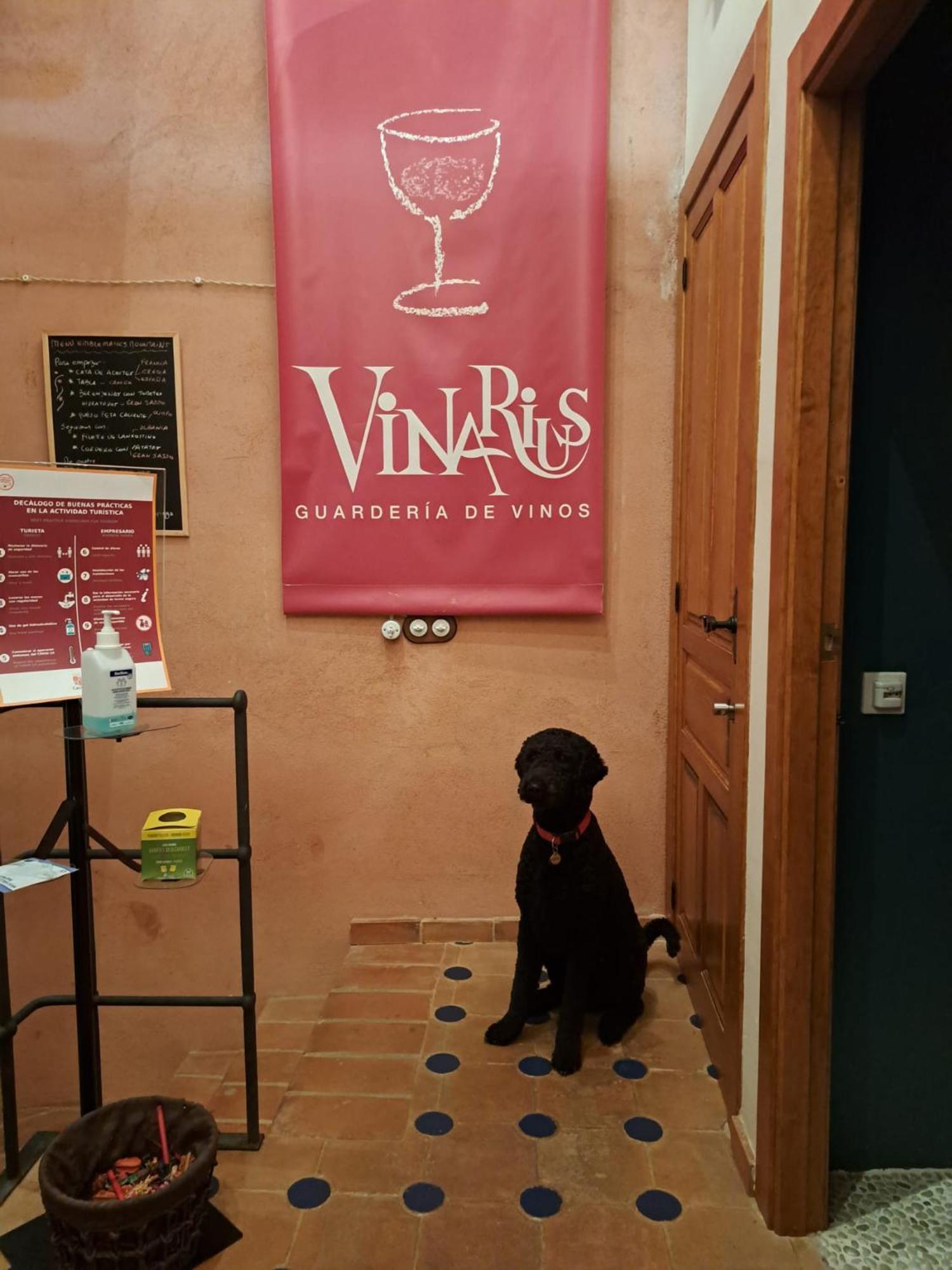 Vinarius, Posada Rural Castellanos de Villiquera Dış mekan fotoğraf